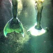 A Review of Siren’s&nbsp;Call